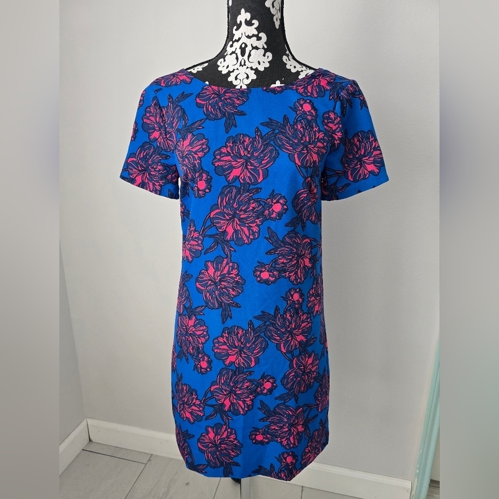J Crew Floral Blue and Pink Dress size 00